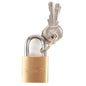 Padlock Brass ¾in (20mm) (101000)