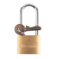 Padlock Brass 2in (50mm) 2.5in Shackle (101007)