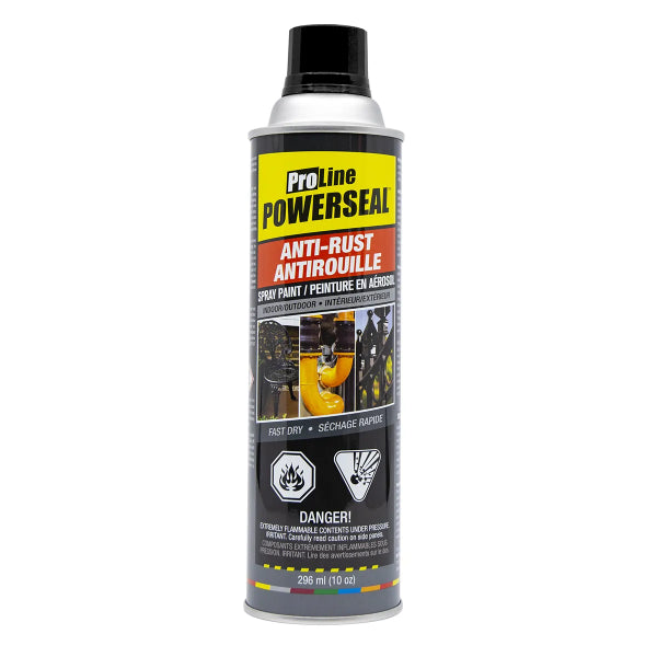 Proline Anti-Rust Spray Paint 296ml (10oz) Flat Black (122282)
