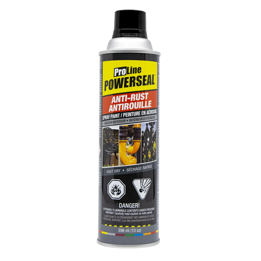Proline Anti-Rust Spray Paint 296ml (10oz) Flat Black (122282)