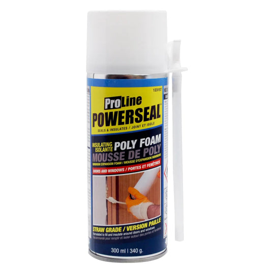 Powerseal Window & Door Foam Sealant with Straw 340G (123157)
