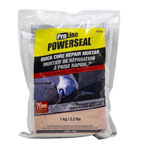Proline Quick Cure Pre-Mixed Repair Mortar 1Kg Gray (123170)