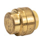 12PK Push-Fit Pex Brass End Cap 1/2in Lead-Free (150655)