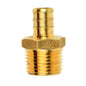 Pex Brass Male Adapter Barb To MPT 1/2 x 1/2in (151025)