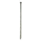 50lb (22.7kg) Spiral Standard Nails HDG 10in (169497)