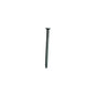 50lb (22.7kg) Common Nails Bright 3-1/2in (169696)