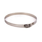 10PK Hose Clamp No.96  S/S 4½ - 6/½in (180347)