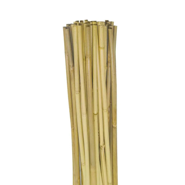 15 PC Bamboo Garden Stake 1/4 x 16in (184262)
