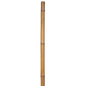 Bamboo Garden Pole 1/2 x 72in (184268)