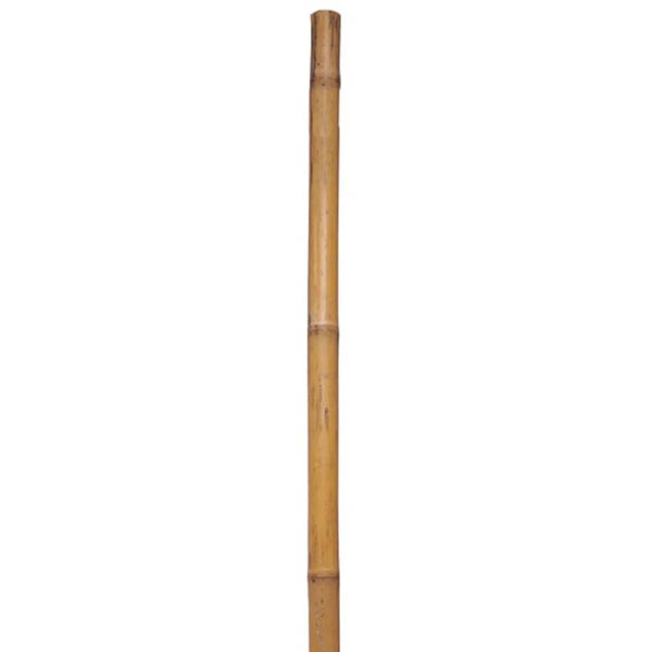 Bamboo Garden Pole 1 x 72in (184269)