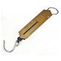Mini Hanging Spring Scale (704499)