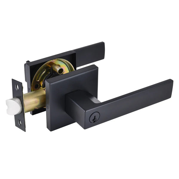Door Lock Lever Entry Matte Black (100123)