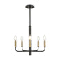 Olivia 5 Light Chandelier