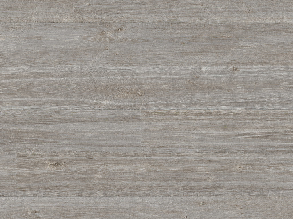 Silver Oak (9951)
