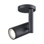 Pond Inlet 1 Light Outdoor Flush Mount