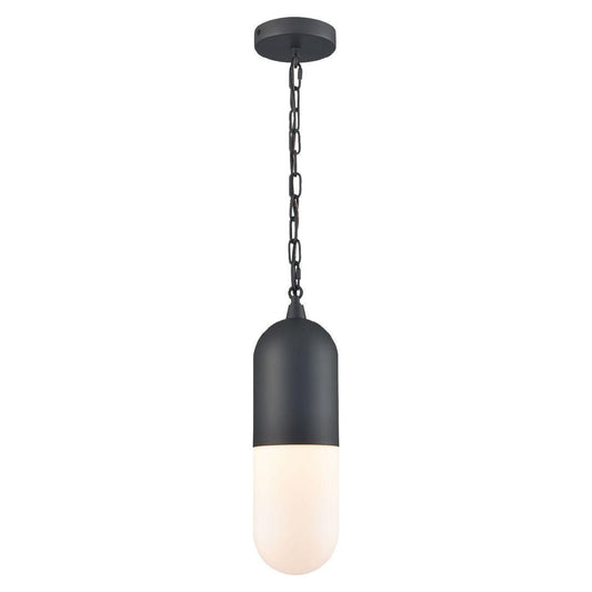 Capsule 1 Light Outdoor Pendant