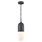 Capsule 1 Light Outdoor Pendant