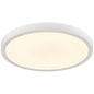 Typhoon CCT 9" Flush Mount