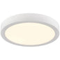 Polaris 5.5" Flush Mount