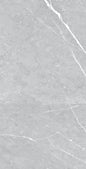 PIETRA LIGHT GREY - POLISHED (PID-82)