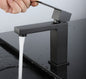 Bathroom Faucet - SF10B matte (PID-137)