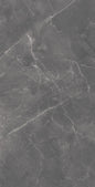 ARMANI GREY - POLISHED (PID-99)