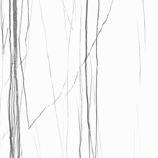 ROBINSON WHITE - POLISHED (PID-216)