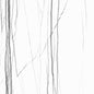 ROBINSON WHITE - POLISHED (PID-216)