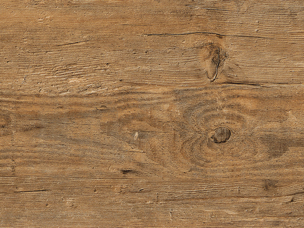 Wild Amber Oak (2249)