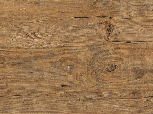 Wild Amber Oak (2249)