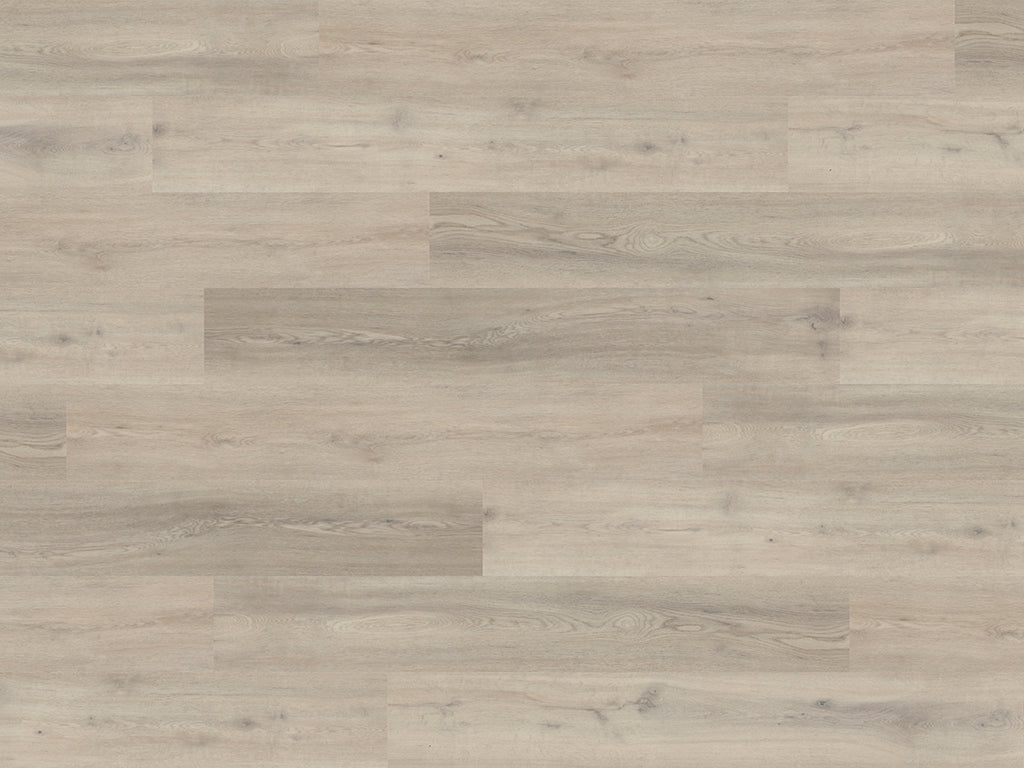 Rosedale Oak (2254)