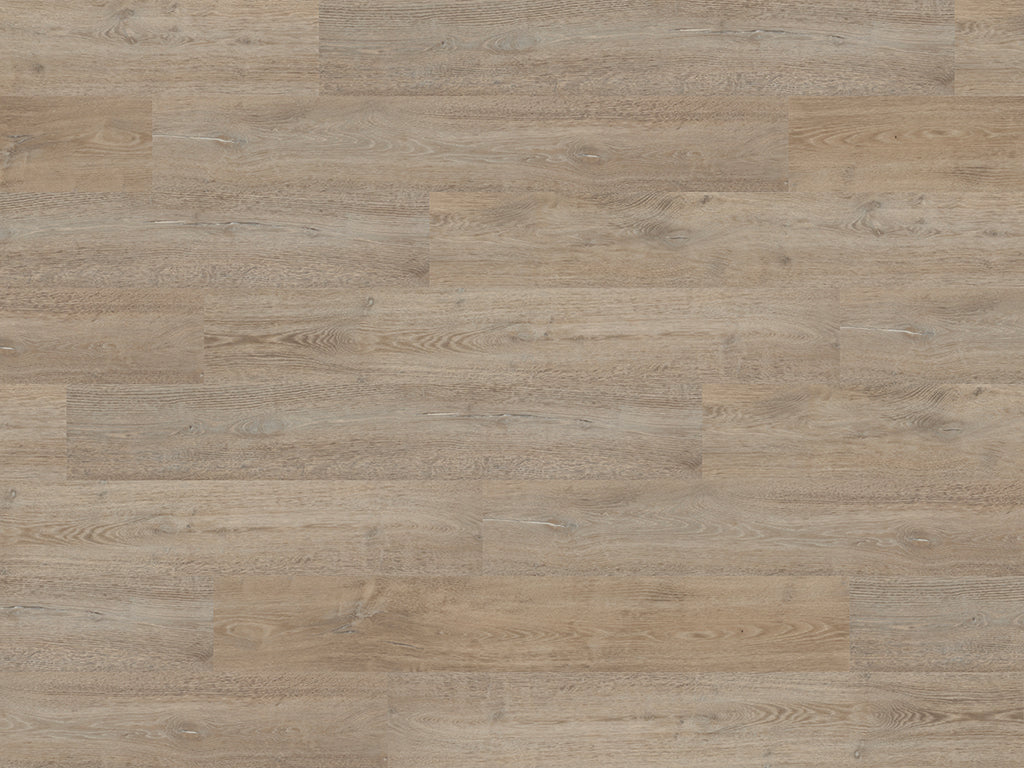 Fenland Oak (2258)