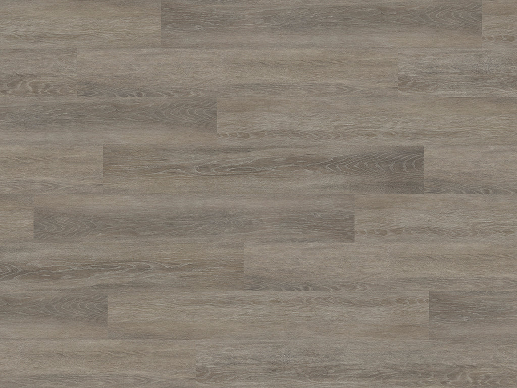 Bayswater Oak (2261)
