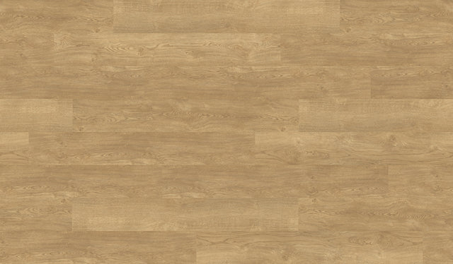 American Oak (2503)
