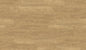American Oak (2503)
