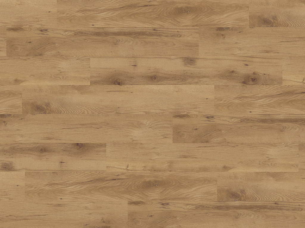 Honey Wild Oak (2572)