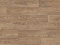 Tropical Pine (3376)