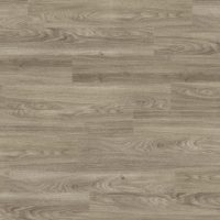 Light Elm (4034)