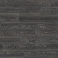 Black Elm (4035)