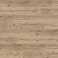 Oiled Oak (4098)