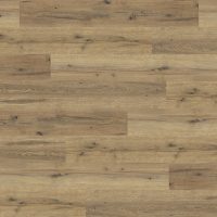 Everglade Oak (4101)