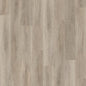 Waterside Oak (PLK4143)