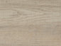 Cliff Top Oak (4438)