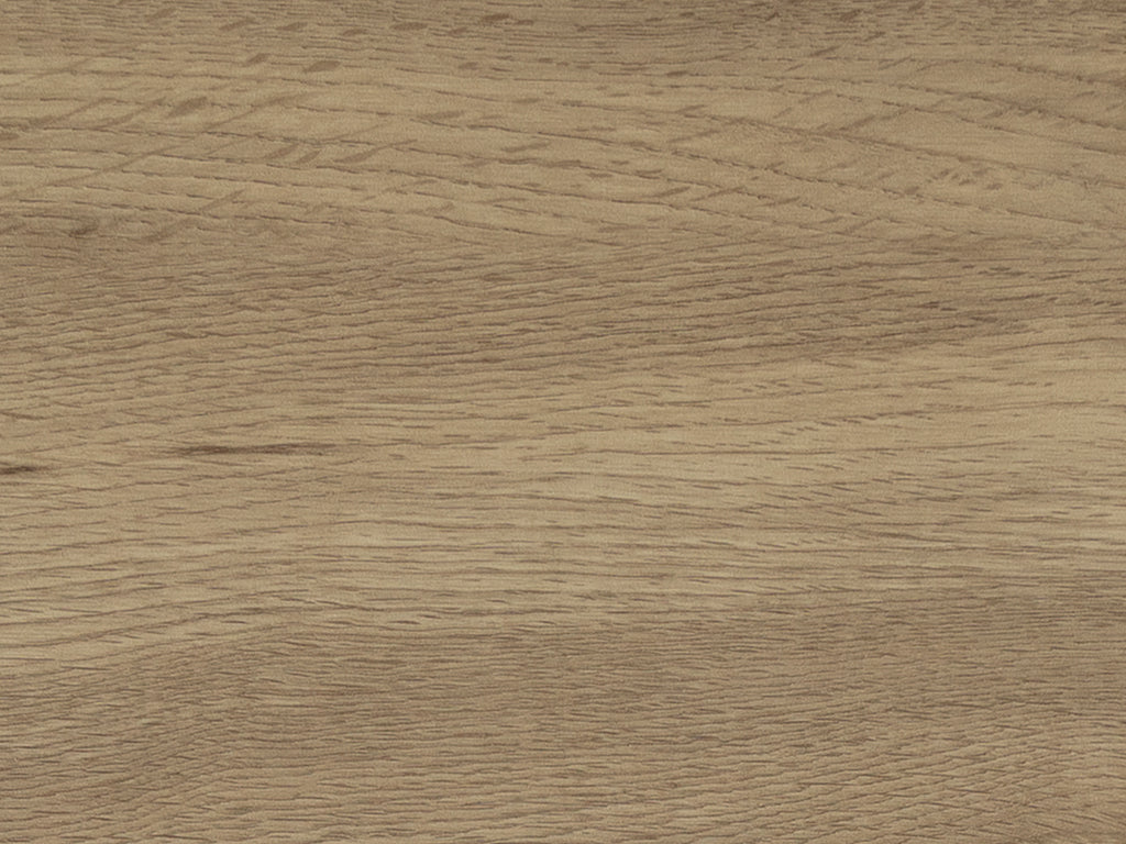 Coastal Driftwood (4453)