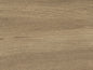 Coastal Driftwood (4453)