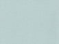 Duck Egg (5235)