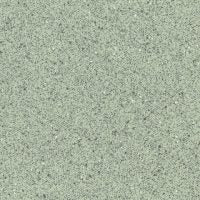 Grasshopper (5540)