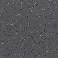 Blackbird (5560)
