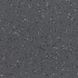 Blackbird (5560)