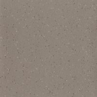 Truffle Shore (5762)